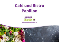 logo papillon